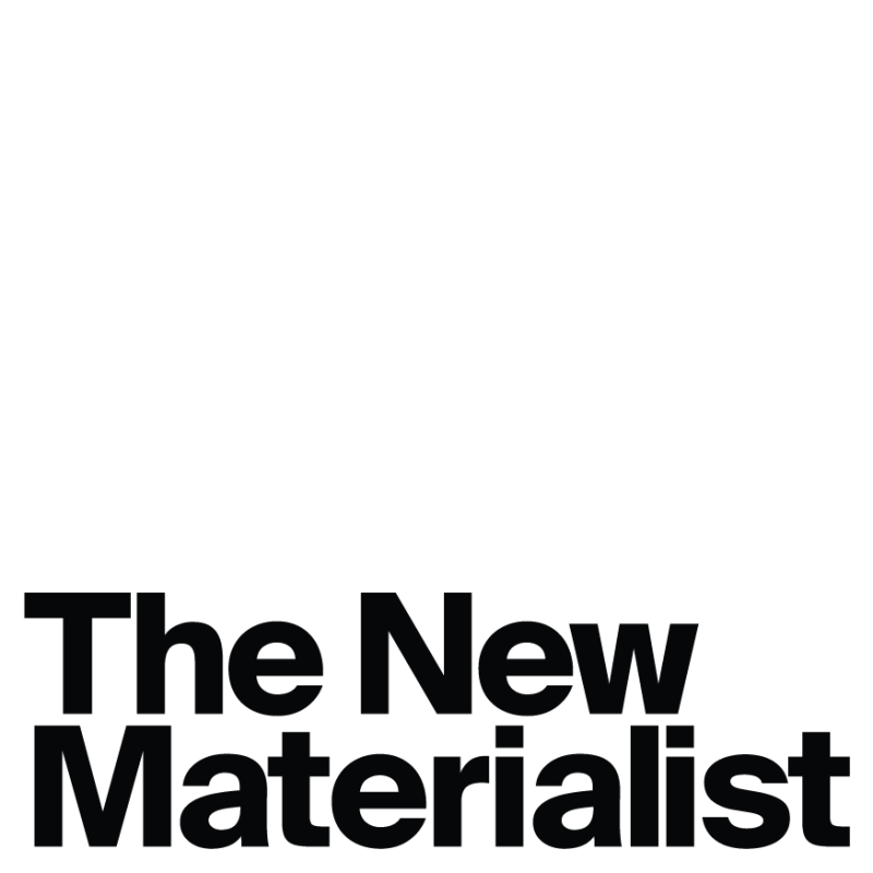 Logo start-up The New Materialist