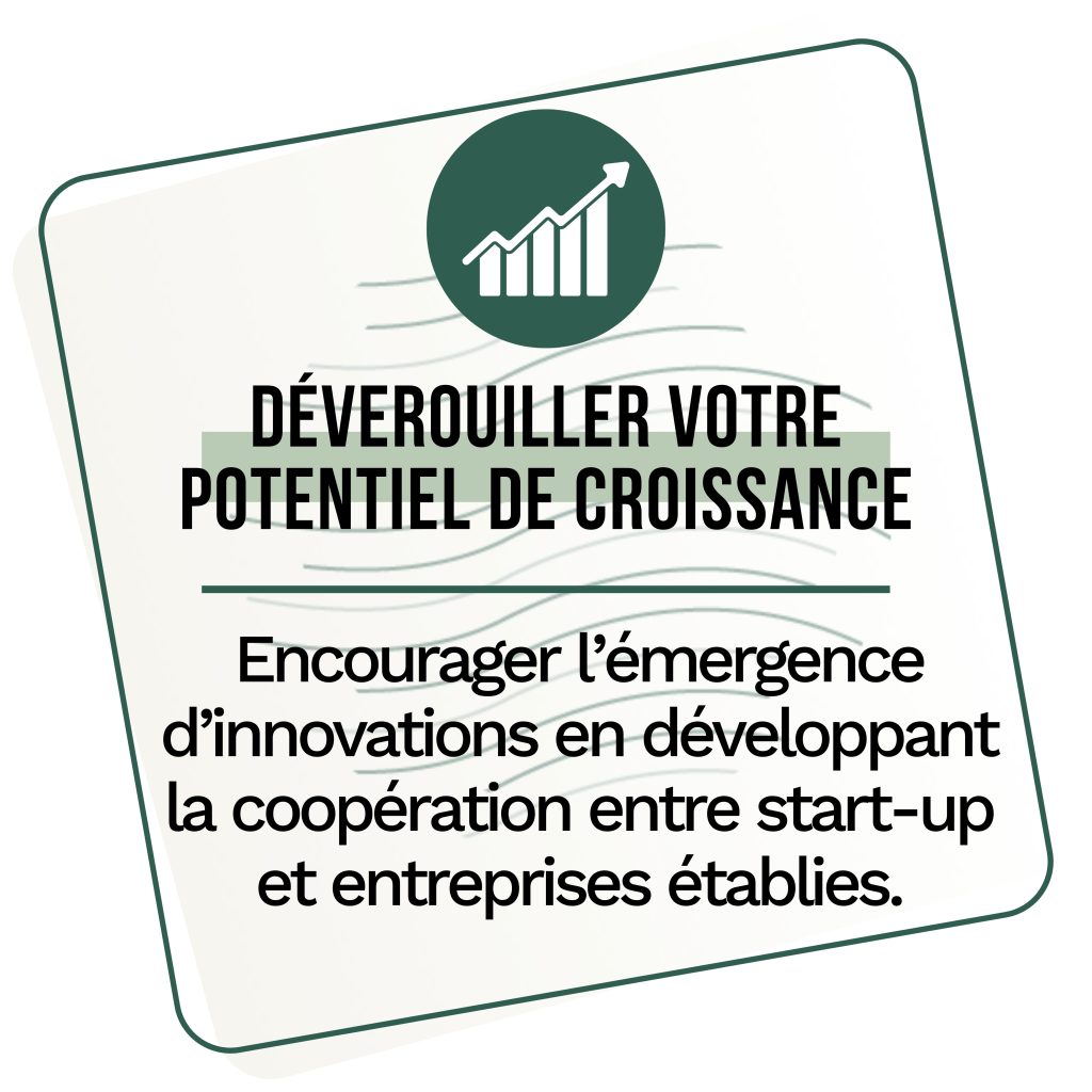 Favoriser l'innovation et coopération entre start-up et entreprises établies.