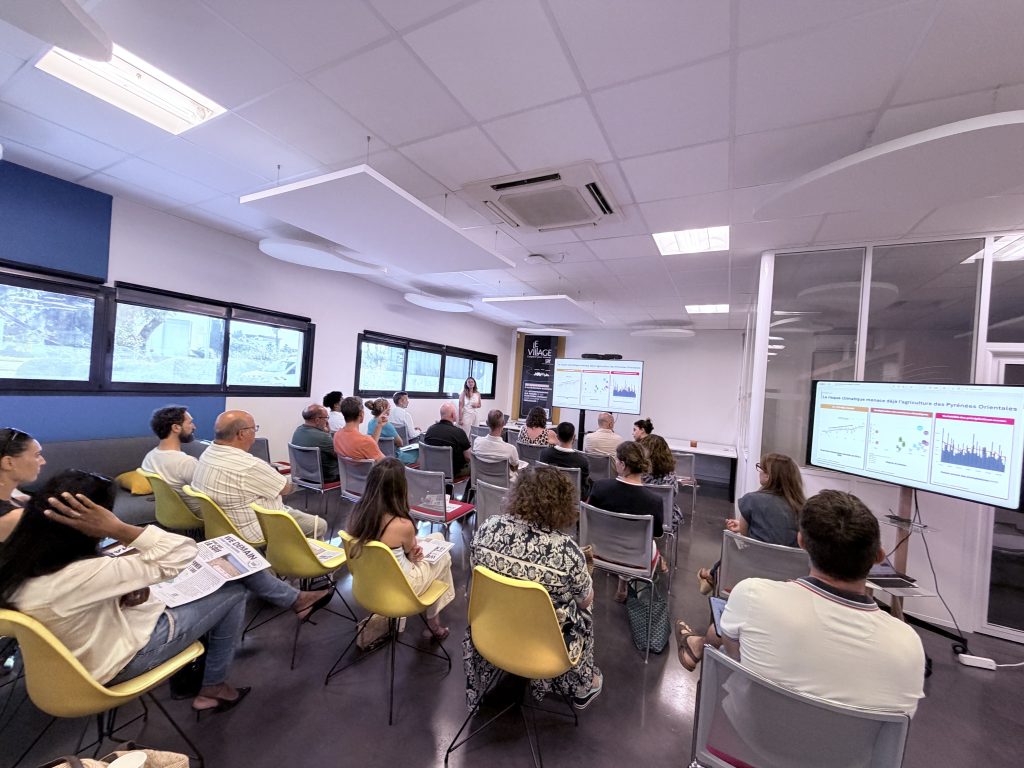 Afterwork perpignan pour les dirigeants de start-up et dirigeant d'entreprises, réseau d'entreprise et partages entre pairs