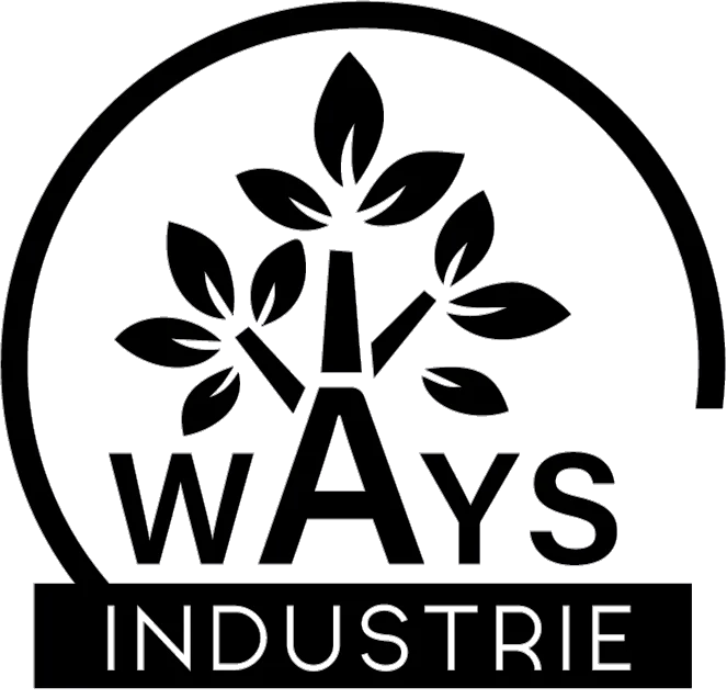 Logo wAys