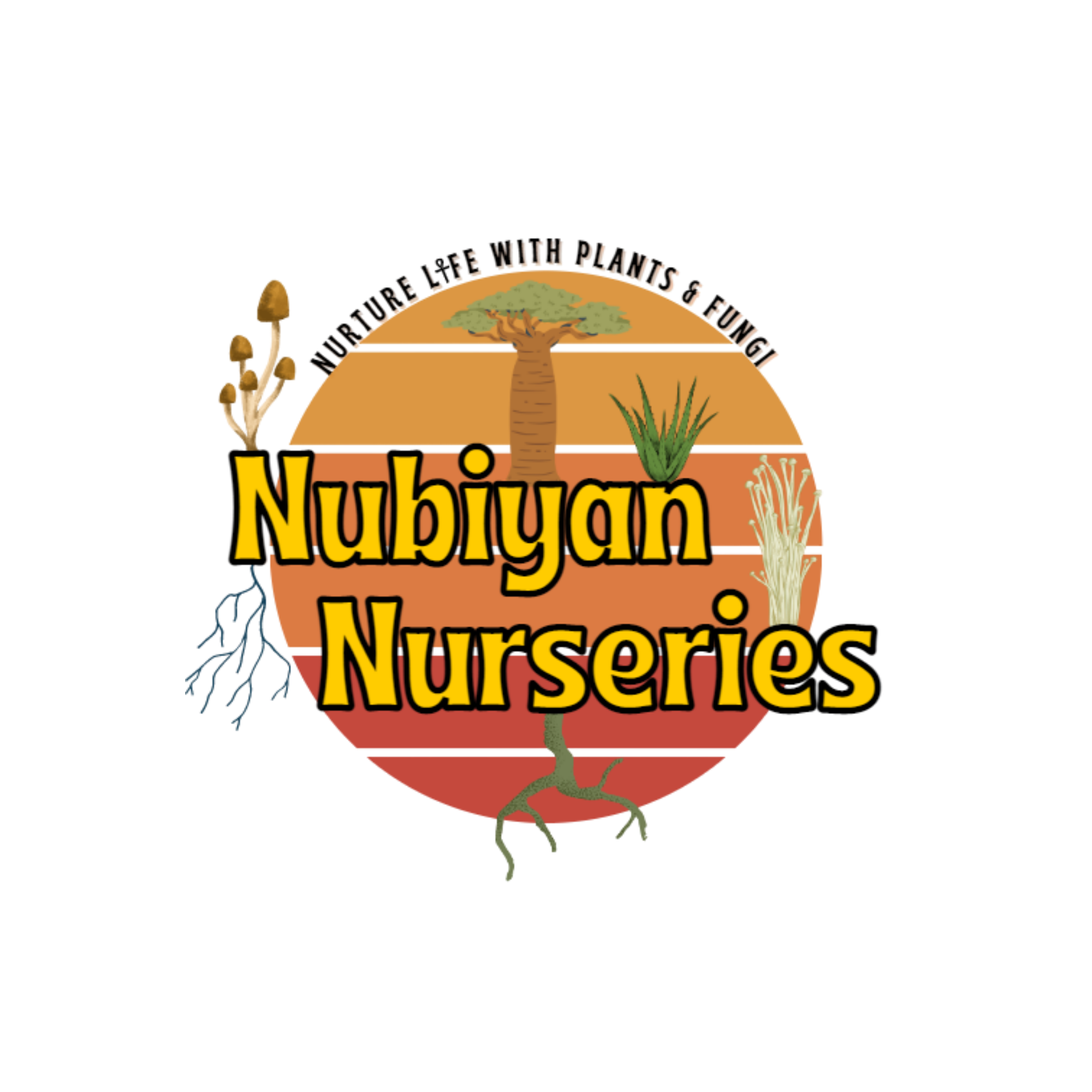 Nubiyan Nurseries, startup incubée au Village by CA Châteaudun